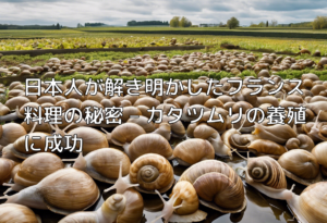 日本人が解き明かしたフランス料理の秘密 – カタツムリの養殖に成功